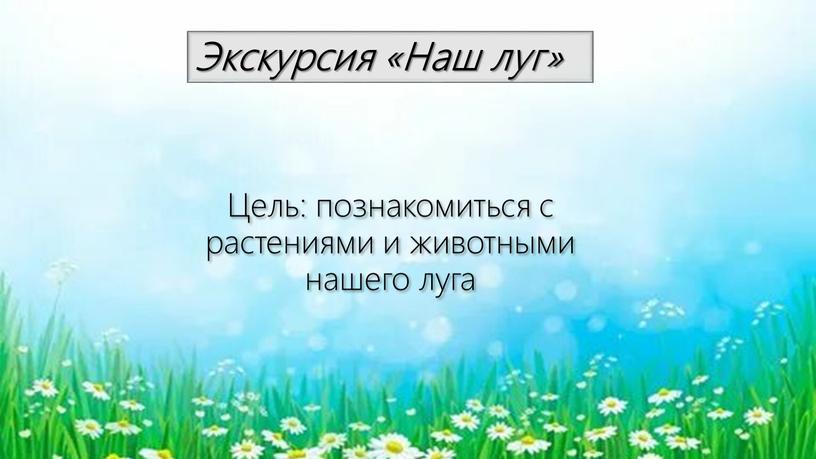 Экскурсия «Наш луг» Цель: познакомиться с растениями и животными нашего луга