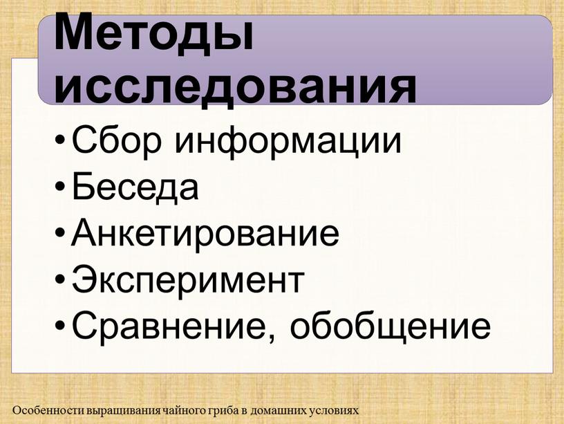 Особенности выращивания чайного гриба в домашних условиях