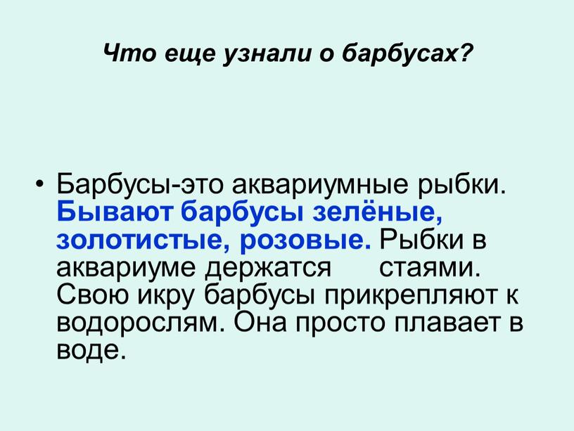 Что еще узнали о барбусах? Барбусы-это аквариумные рыбки