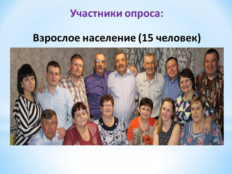 Участники опроса: Взрослое население (15 человек)