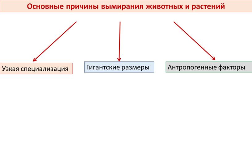 Основные причины вымирания животных и растений