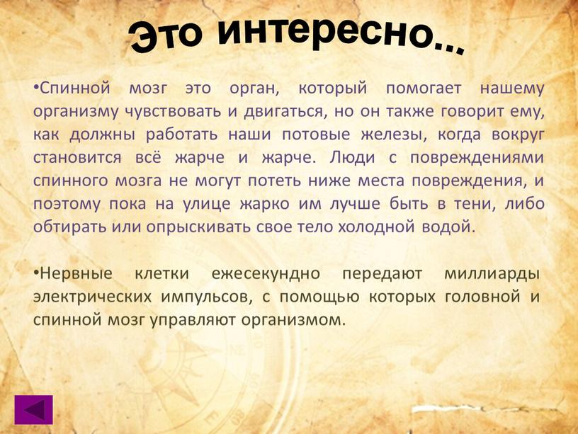 Это интересно... Спинной мозг это орган, который помогает нашему организму чувствовать и двигаться, но он также говорит ему, как должны работать наши потовые железы, когда…