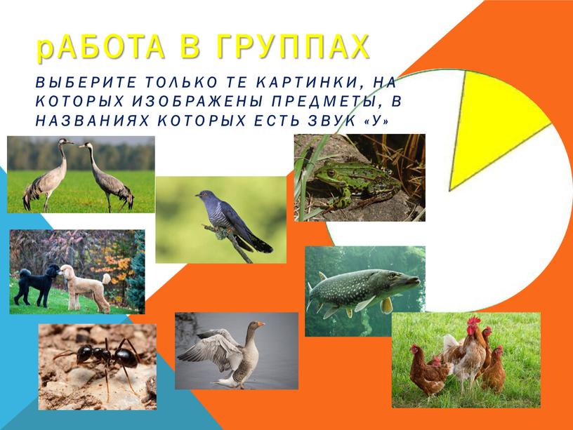 АБОТА В ГРУППАХ Выберите только те картинки, на которых изображены предметы, в названиях которых есть звук «у»