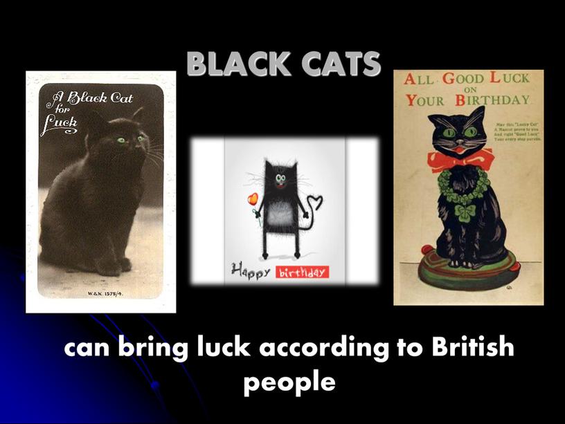 BLACK CATS can bring luck according to