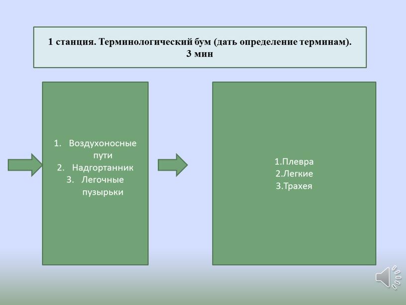 Терминологический бум (дать определение терминам)