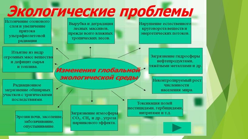 Проект на тему: «Современные экологические проблемы Свердловской области»