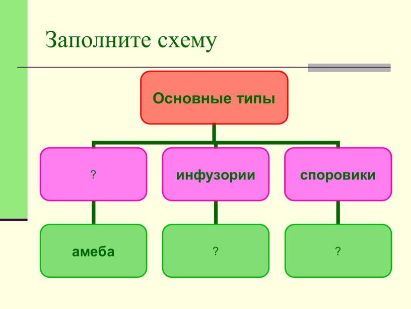 Заполните схему