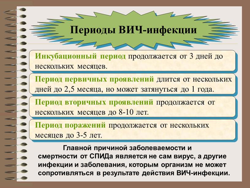 Периоды ВИЧ-инфекции Инкубационный период продолжается от 3 дней до нескольких месяцев