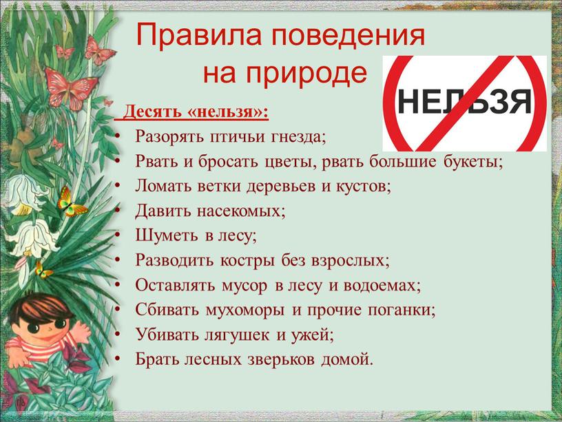 Правила поведения на природе