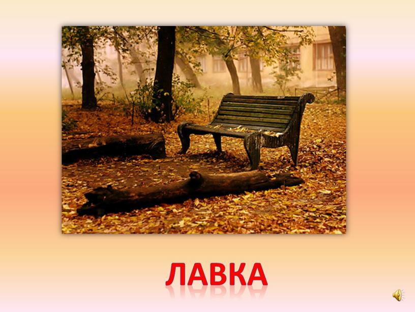 лавка