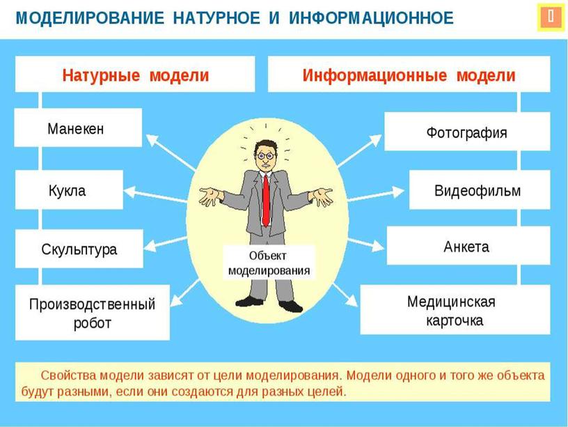 Презентация к бинарному уроку (Биология+Информатика) по теме "Моделирование биологических процессов"