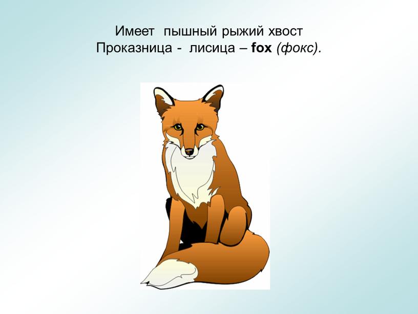 Имеет пышный рыжий хвост Проказница - лисица – fox (фокс)