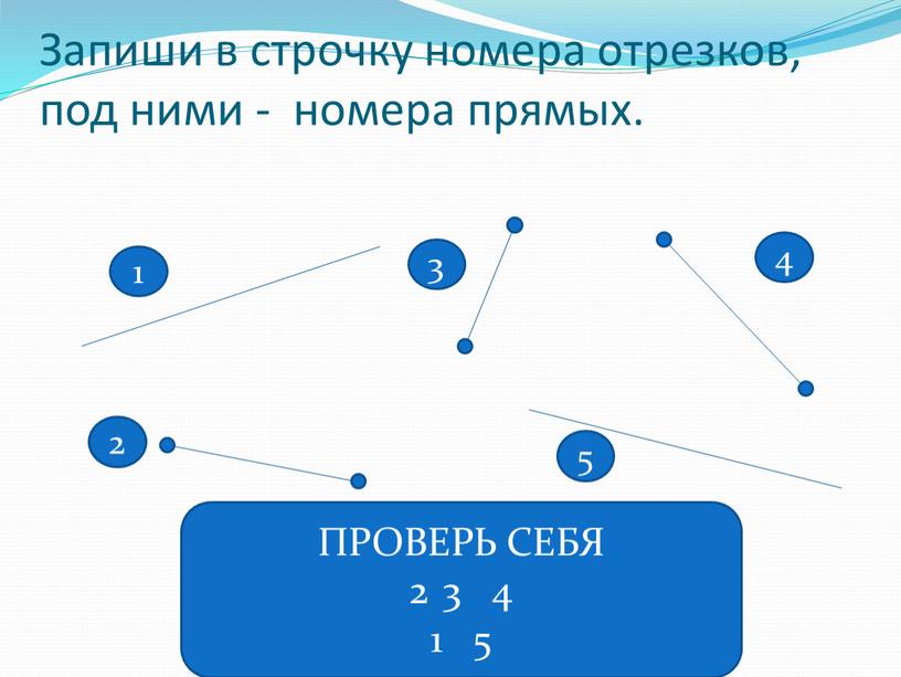 Запиши в строчку номера отрезков, под ними - номера прямых