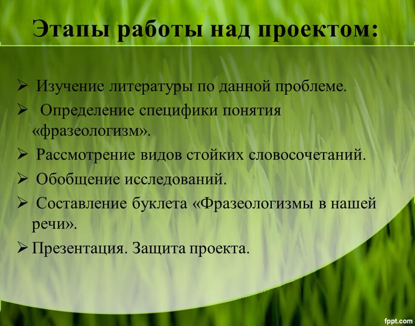 Этапы работы над проектом: Изучение литературы по данной проблеме