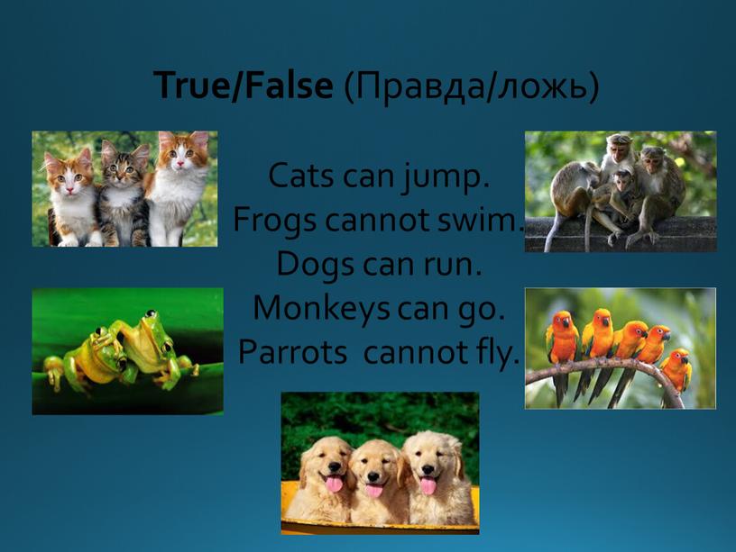 True/False (Правда/ложь) Cats can jump