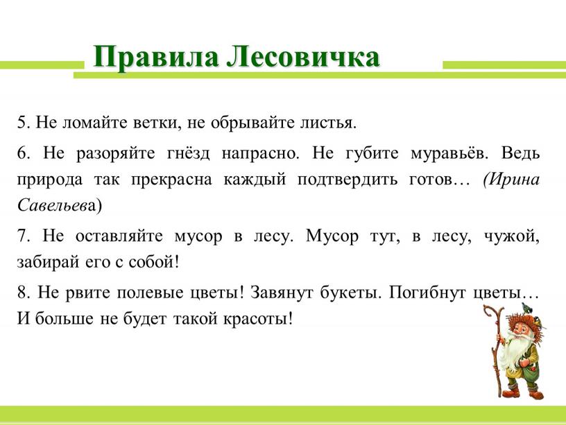 Правила Лесовичка 5. Не ломайте ветки, не обрывайте листья