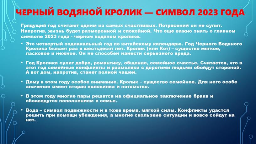 Черный Водяной Кролик — символ 2023 года