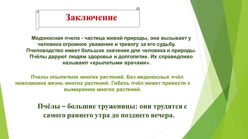 Медоносная пчела - частица живой природы, она вызывает у человека огромное уважение и тревогу за его судьбу