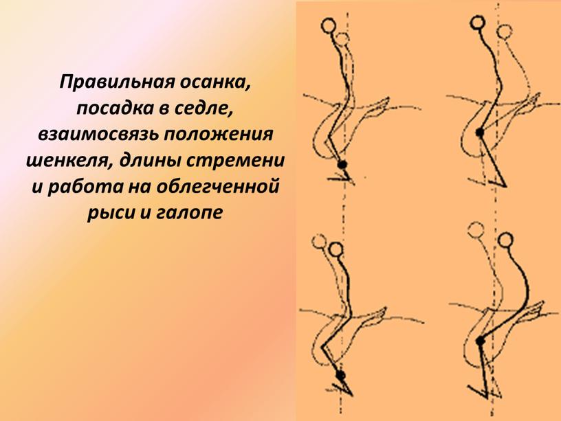 Правильная осанка, посадка в седле, взаимосвязь положения шенкеля, длины стремени и работа на облегченной рыси и галопе