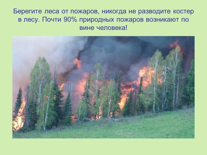 Берегите леса от пожаров, никогда не разводите костер в лесу
