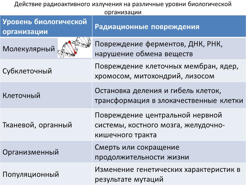 Действие радиоактивного излучения на различные уровни биологической организации