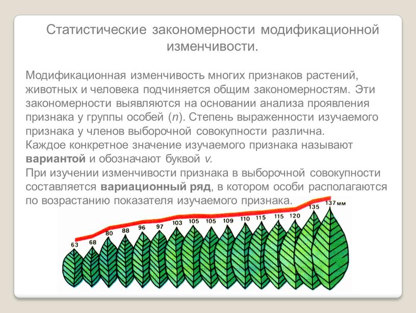 Статистические закономерности модификационной изменчивости