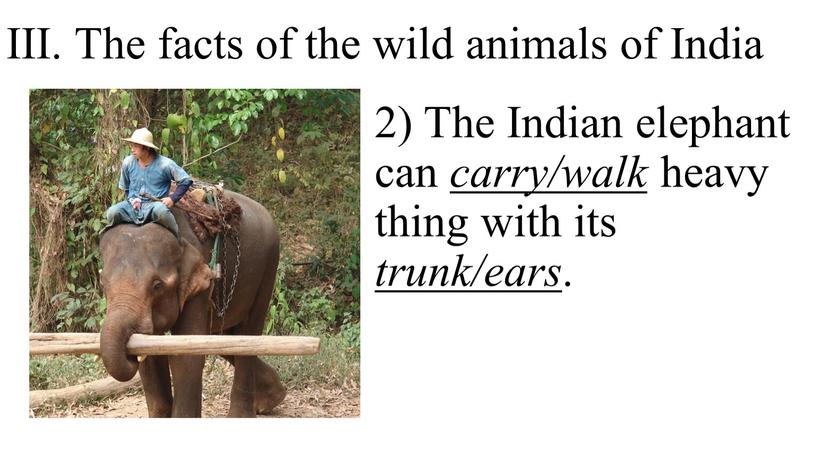 III. The facts of the wild animals of