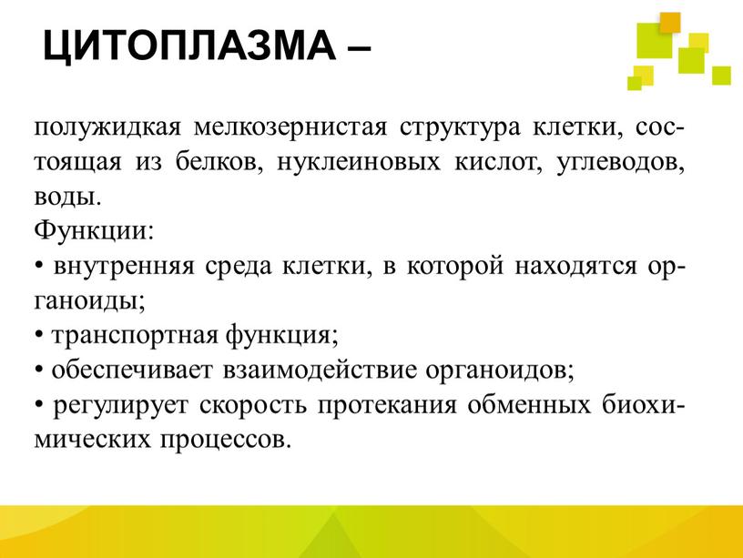 ЦИТОПЛАЗМА – полужидкая мелкозернистая структура клетки, сос- тоящая из белков, нуклеиновых кислот, углеводов, воды