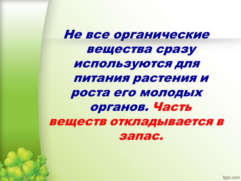 Не все органические вещества сразу используются для питания растения и роста его молодых органов