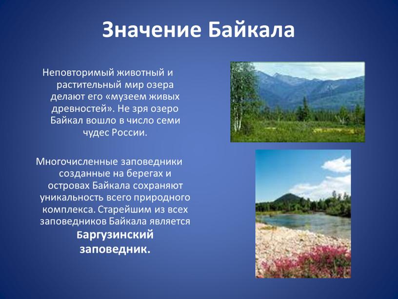 Значение Байкала Неповторимый животный и растительный мир озера делают его «музеем живых древностей»
