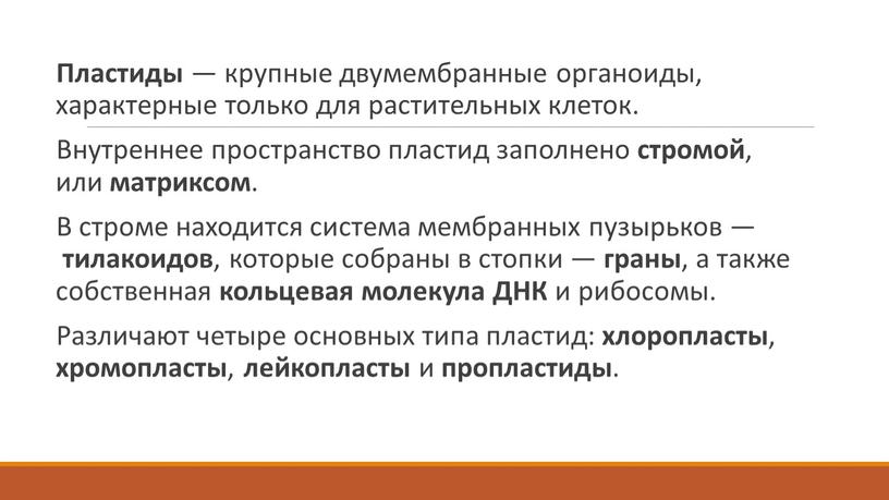 Пластиды — крупные двумембранные органоиды, характерные только для растительных клеток