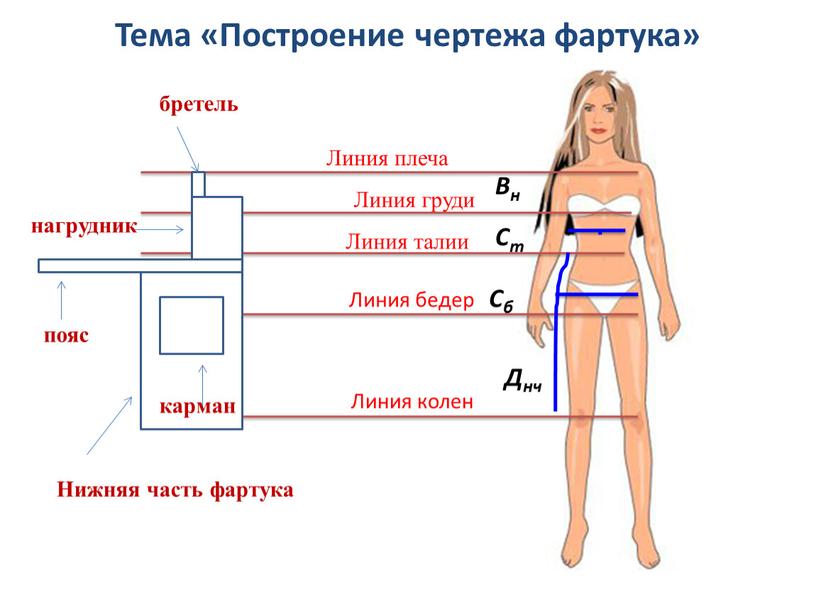 Тема «Построение чертежа фартука»