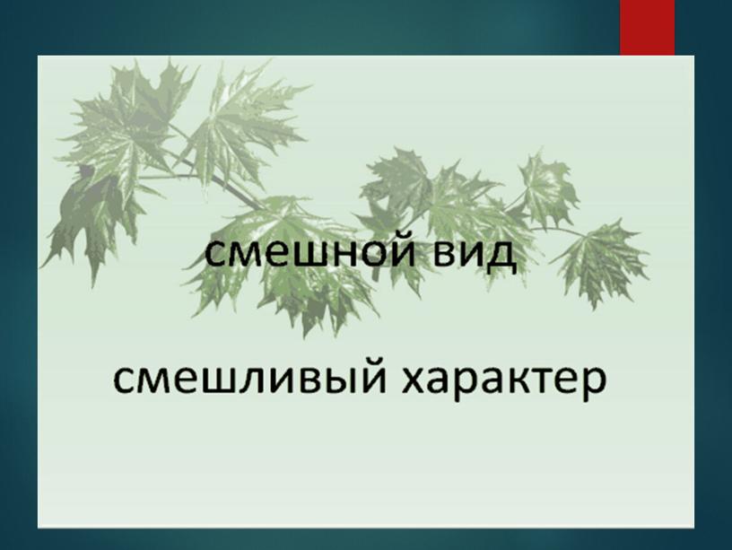 Презентация к уроку развития речи "Описание внешности"