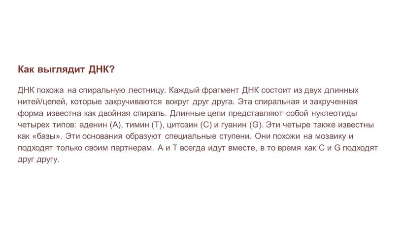 Как выглядит ДНК? ДНК похожа на спиральную лестницу