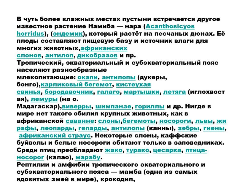 В чуть более влажных местах пустыни встречается другое известное растение