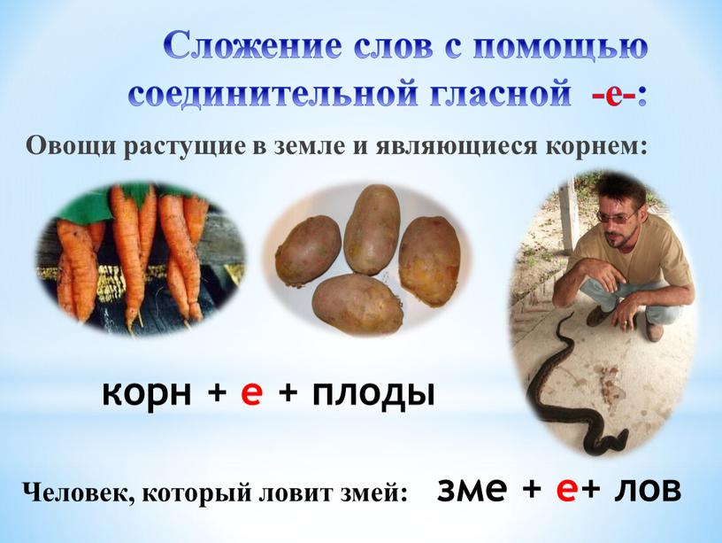 Сложение слов с помощью соединительной гласной -е-: