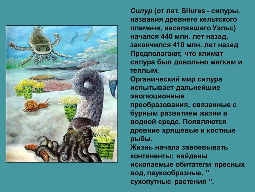 Силур (от лат. Silures - силуры, названия древнего кельтского племени, населявшего