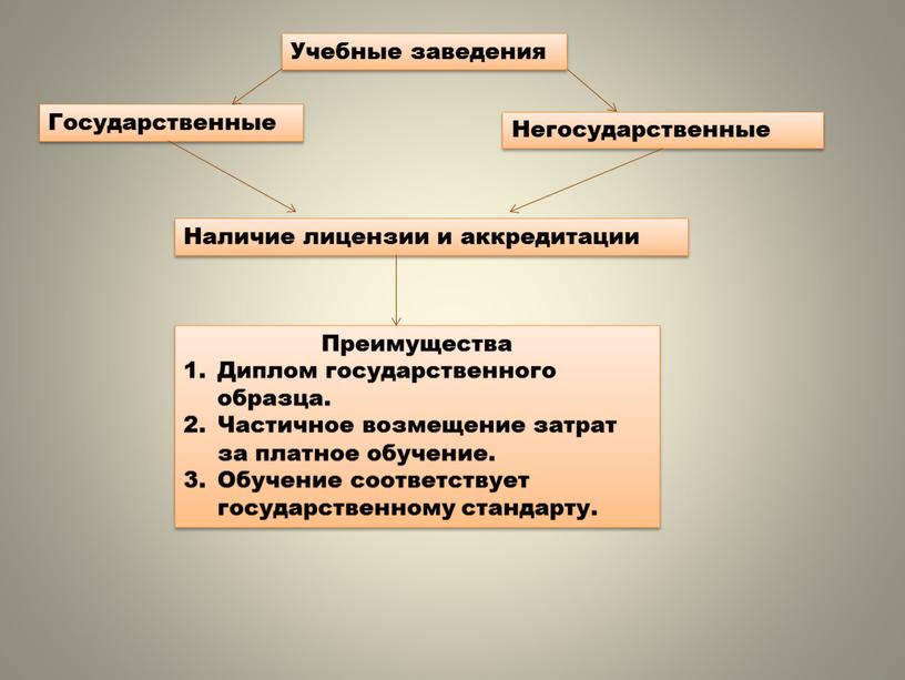 Учебные заведения Государственные