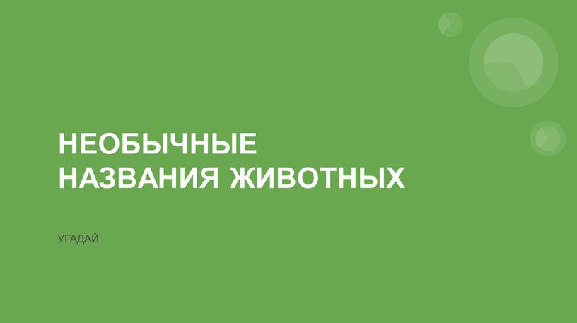 НЕОБЫЧНЫЕ НАЗВАНИЯ ЖИВОТНЫХ УГАДАЙ