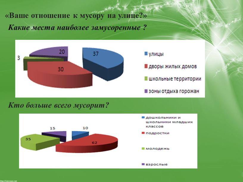 Какие места наиболее замусоренные ? «Ваше отношение к мусору на улице?»