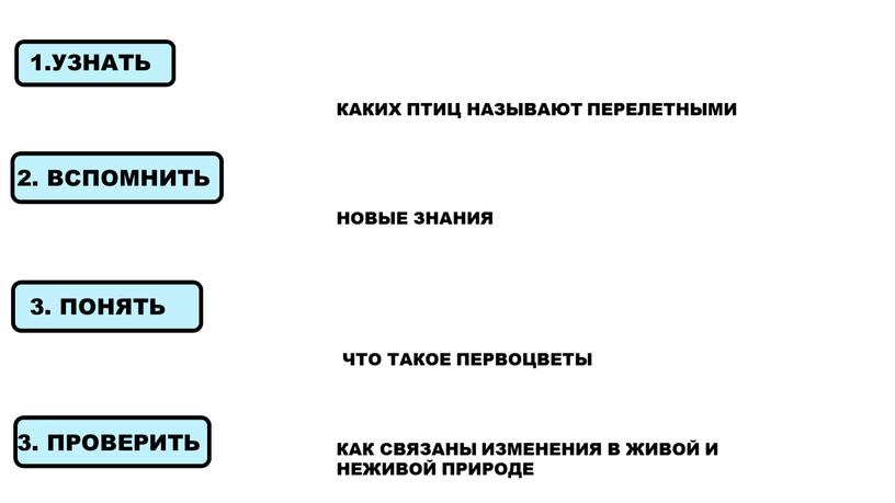 КАКИХ ПТИЦ НАЗЫВАЮТ ПЕРЕЛЕТНЫМИ