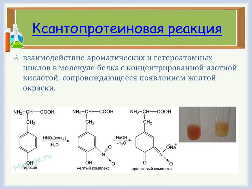 Ксантопротеиновая реакция взаимодействие ароматических и гетероатомных циклов в молекуле белка с концентриро­ванной азотной кислотой, сопровождающееся появлением желтой окраски