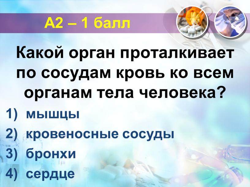 А2 – 1 балл Какой орган проталкивает по сосудам кровь ко всем органам тела человека? мышцы кровеносные сосуды бронхи сердце