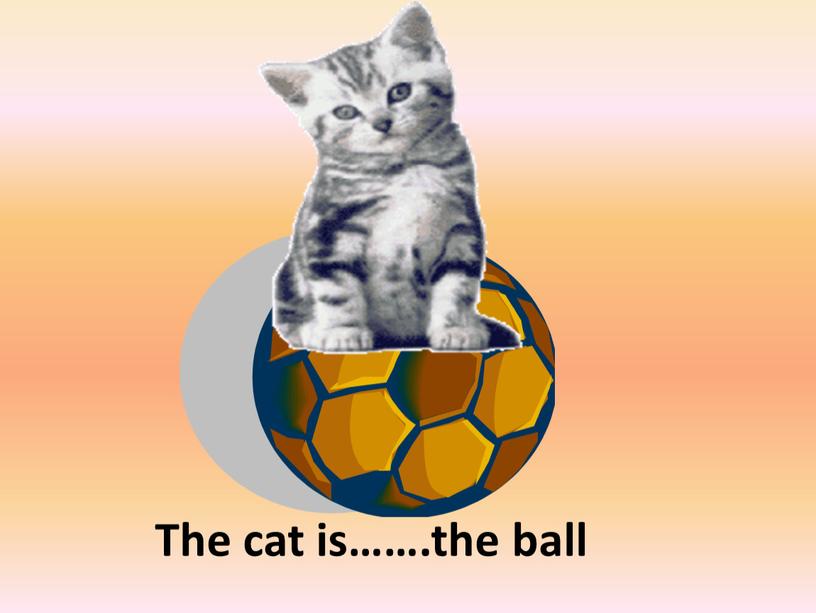 The cat is…….the ball on