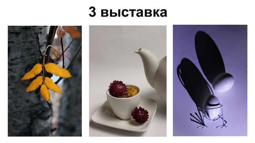 3 выставка