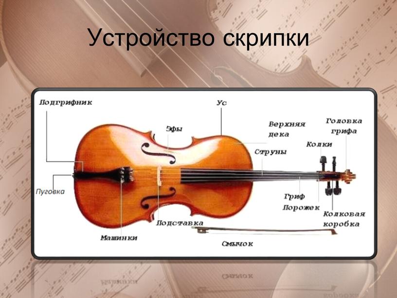 Устройство скрипки
