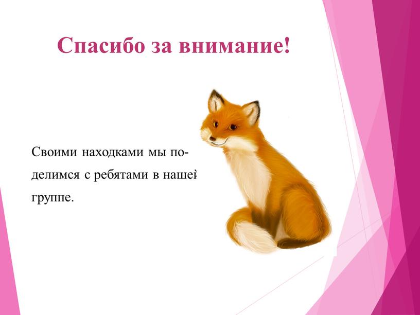 Спасибо за внимание! Своими находками мы по- делимся с ребятами в нашей группе