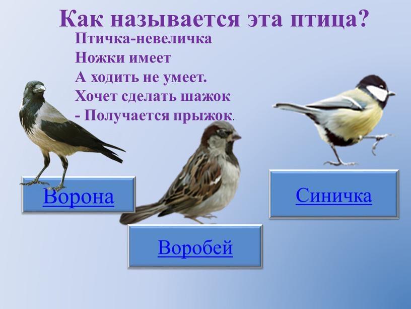 Как называется эта птица? Ворона