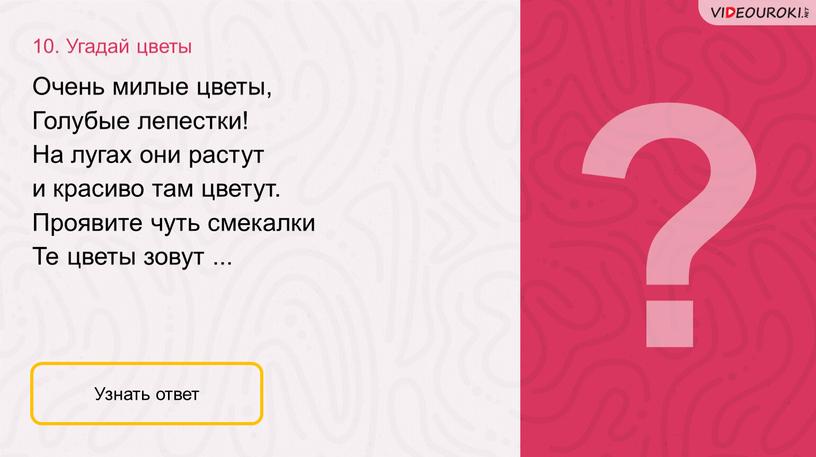 Угадай цветы Узнать ответ Очень милые цветы,