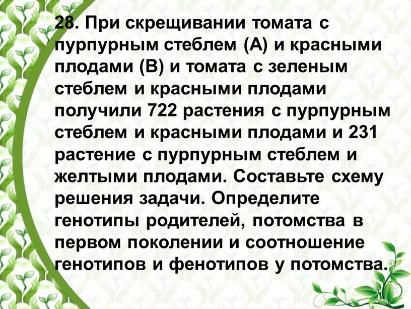 При скрещивании томата с пурпурным стеблем (А) и красными плодами (В) и томата с зеленым стеблем и красными плодами получили 722 растения с пурпурным стеблем…